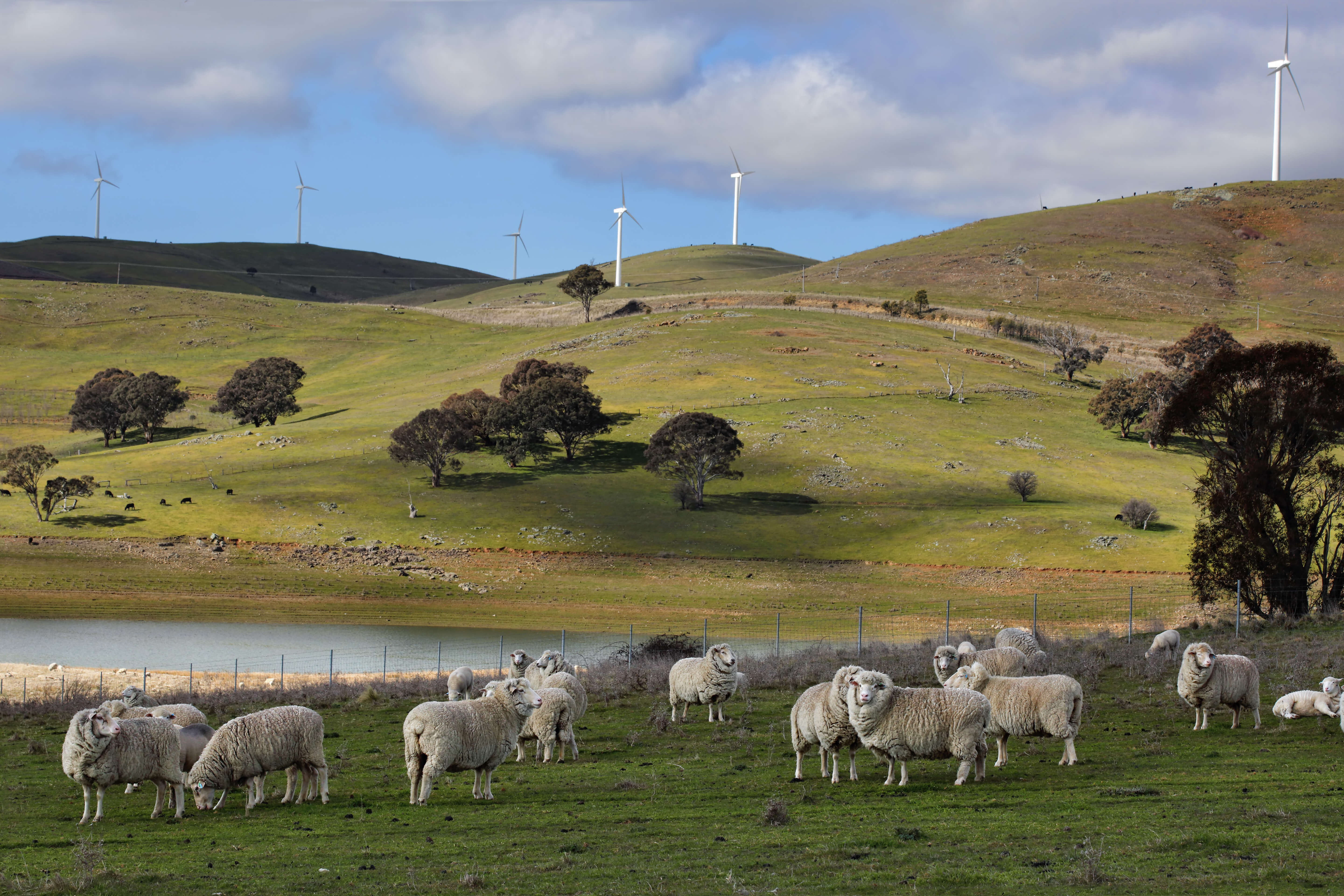 Investigating how regional communities are navigating the renewable energy transition
